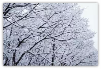 setsubun, japanese, japanese winter
