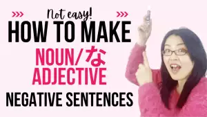 Japanese na adjective Noun negative sentence